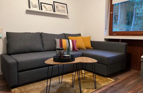 Kaiserslautern Apartment | Ferienwohnung auf dem Betzenberg