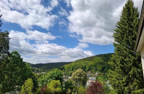 Aue Apartment | Ferienwohnung Böhme Aue