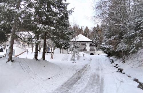 Triberg im Schwarzwald Apartment | Ferienwohnung Bergblick