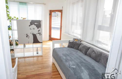Pfaffenhofen Apartment | Ferienwohnung BIG bei Tripsdrill