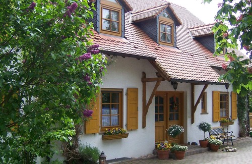 Alzey Apartment | Ferienwohnung Weidastal - Appartement/fewo, Dusche, WC, 1 Schlafraum