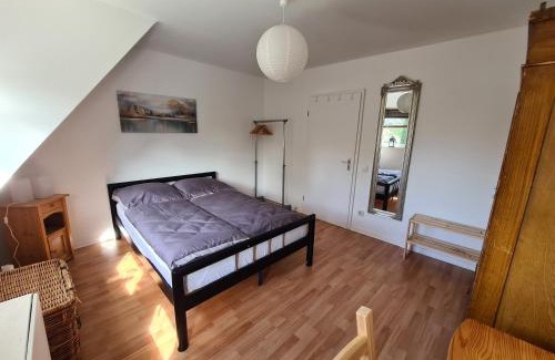 Oststadt Apartment | Ferienwohnung Evas Paradies