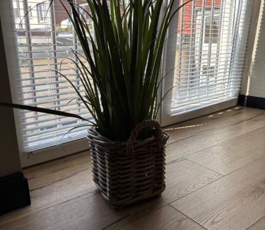 Bredstedt Apartment | Ferienwohnung Föhr