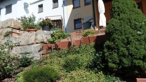 Eichenbuhl Apartment | Ferienwohnung Fleckenstein