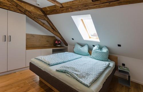 Leisnig Apartment | Ferienwohnung Geilert