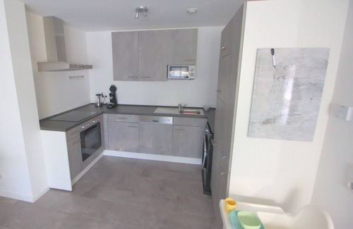Engen Apartment | Ferienwohnung Hegaublüte