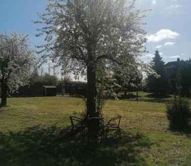 Blumenberg Apartment | Ferienwohnung III Sarrebriese