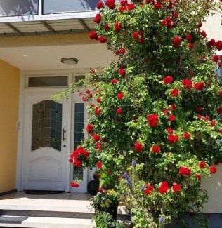 Sankt Wendel Apartment | Ferienwohnung Kirsch