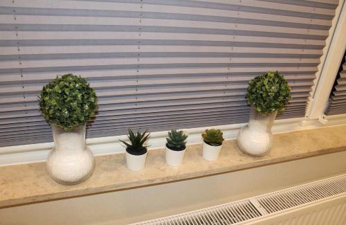 Coesfeld Apartment | Ferienwohnung Kleine Auszeit in Coesfeld