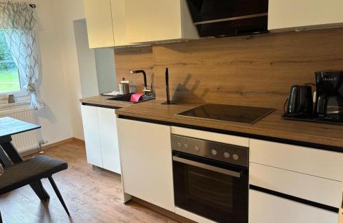 Hintersee Apartment | Ferienwohnung Langfeld