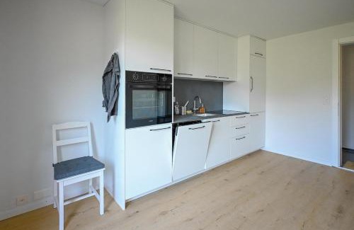 Frutigen Apartment | Ferienwohnung mit Balkon nahe Interlaken & Adelboden