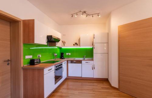 Alttann Apartment | Ferienwohnung s'Kammerl