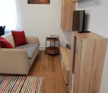Aurach am Hongar Apartment | Ferienwohnung Schmied 3