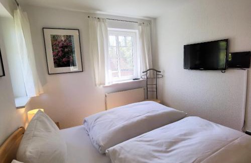Bad Saarow Apartment | Ferienwohnung Seestern