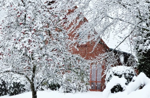 Nieheim Apartment | Ferienwohnung Typ D, 60qm, 2 Schlafzimmer, Max. 5 Personen
