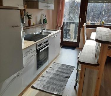 Hallenberg Apartment | Ferienwohnung Waldblick