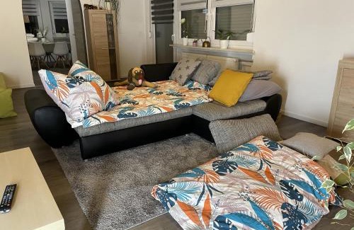 Losheim am See Apartment | Ferienwohnung Waldeck