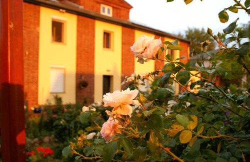 Kirchmoser Apartment | Ferienwohnungen Amselweg