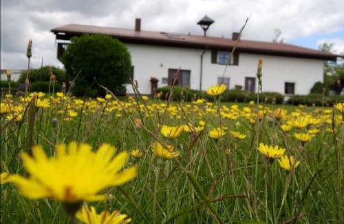 Zwolfhauser Apartment | Ferienwohnungen Hackl Ulrike