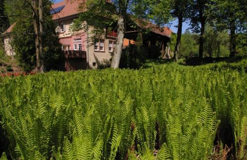 Kaiserslautern Apartment | Ferienwohnungen Reichholdsmühle