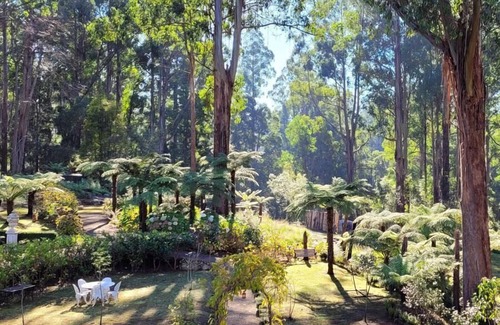Mount Dandenong Cottage | Fern Cottage - Romantic spa cottage in Mount Dandenong