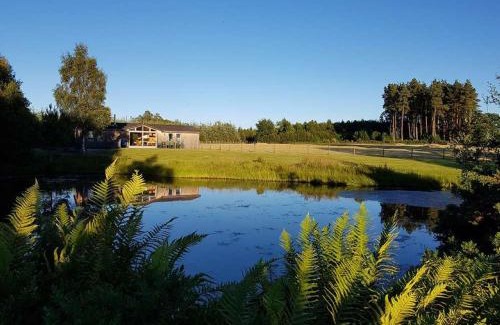 Perth House | Fern Lodge - Luxury Lodge with steamroom in Perthshire