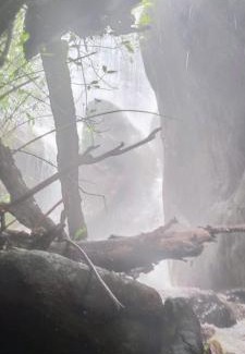 Udumbanchola House | Ferns n' Falls