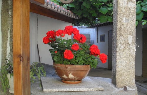 Ferrol House | Ferrol: House with patio and small garden