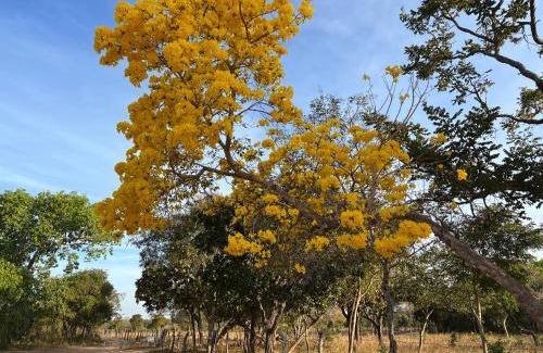 Sao Felix do Tocantins Hotel | Fervedouro e pousada Por Enquanto