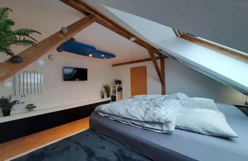 Flensburg Apartment | FeWo Grüne Linie mit Balkon-Parken-Wallbox-TV-KoNi
