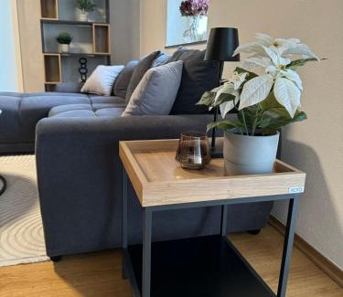 Bischberg Apartment | FeWo Kümo III an der Regnitz Bischberg's