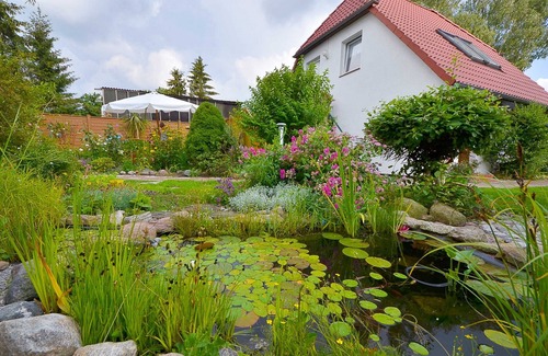 Luessow Apartment | Fewo Malcher - Stralsund - apartment with terrace