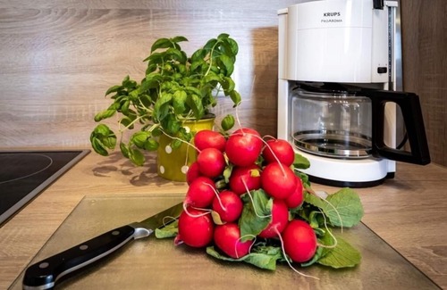 Stammbach Apartment | FeWo Weißensteinblick | Ebenerdige 2-Raum FeWo mit 40qm mit einer Terrasse