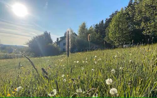 Gefrees Apartment | FICHTELRAUM Dein Raum im Fichtelgebirge