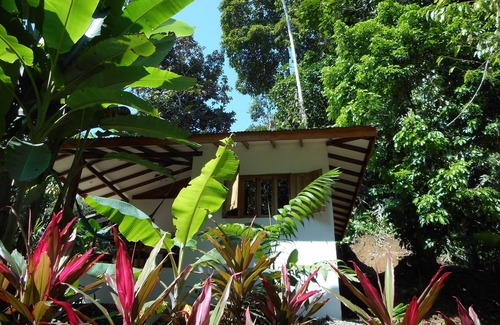 Cocles House | FINCA ARDILLA, ecolodge with swimming pool, for nature lovers.