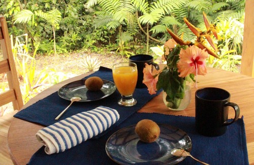 Cocles House | FINCA ARDILLA, ecolodge with swimming pool, for nature lovers.