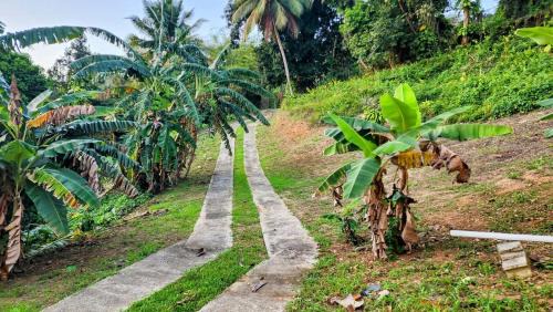 Pitahaya House | Finca De Jungla RainForest Retreat
