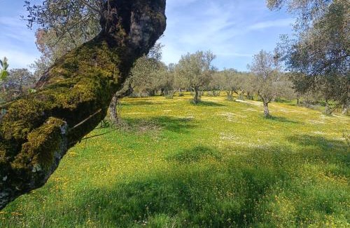 Aracena House | Finca el Berezal