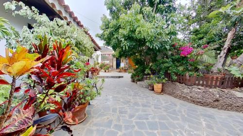 Valle de Guerra Apartment | Finca Paraiso Casa Rural Tenerife