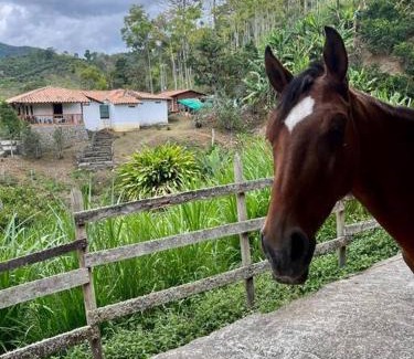 Jerico House | Finca Sierra Luz