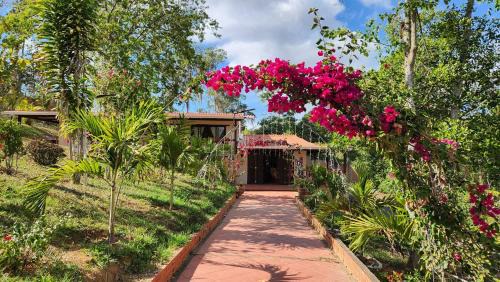 Aratoca Bed & Breakfast | Finca Turística Marquesa Wellness - Hospedaje, Desayuno y Day Spa