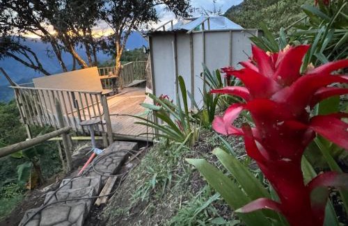 Titiribi Cabin | Finca turística Villa Carolina