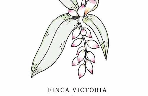 Puerto Real Bed & Breakfast | Finca Victoria