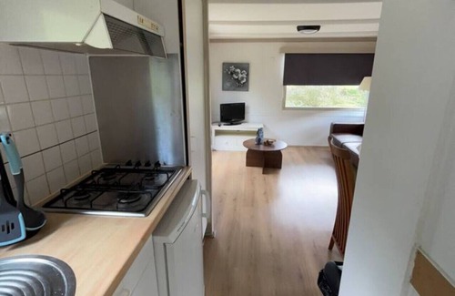 Anloo House | Fine chalet at Park Kniphorst