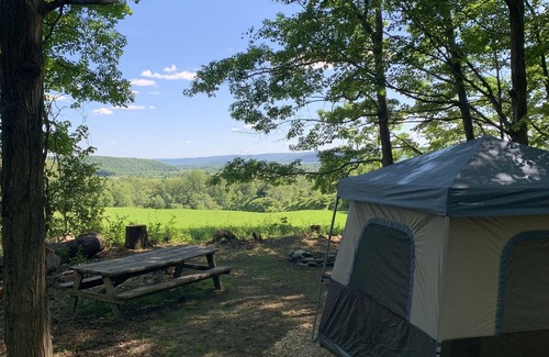 Town of Veteran RV Rental | Finger Lakes Ten Mile View Campsite 10 minutes from Watkins Glen