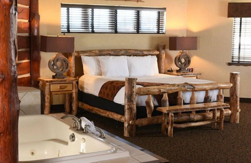 Onalaska Hotel | Fireplace, Dry Bar, Theme Suite Mini Premier, Stoney Creek La Crosse