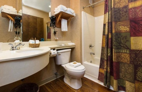 Onalaska Hotel | Fireplace, Dry Bar, Theme Suite Mini Premier, Stoney Creek La Crosse