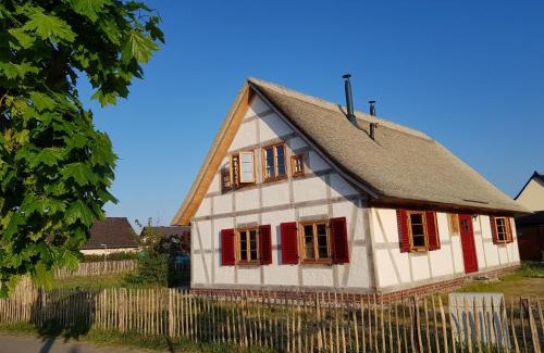 Altwarp Apartment | Fischerhus Lütt Hauke 75 qm Annerose