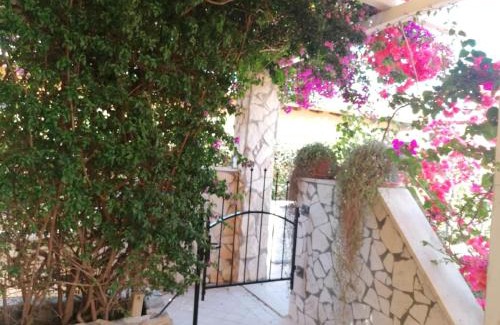 Isola Sacra House | Fiumicino Aeroporto Casa Vacanze Papaveri