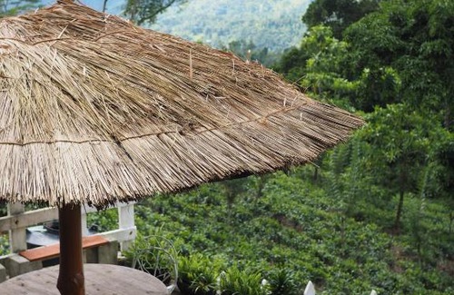 Gomara Cabin | Florence Cottage